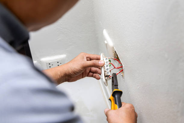 Best Electric Panel Repair  in Whitehorn Cove, OK